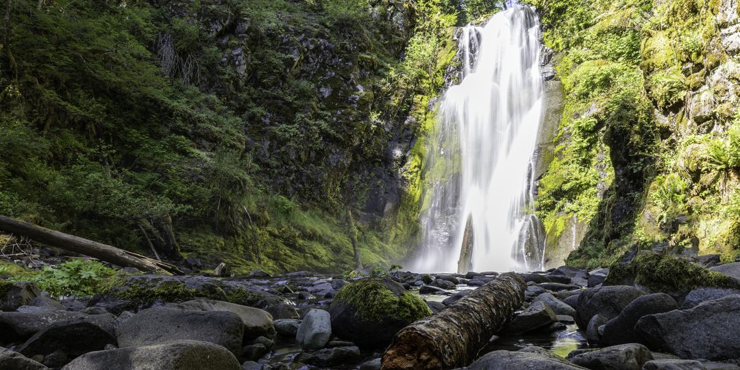 Waterfall cascading down a moss-covered rock face in a lush rainforest