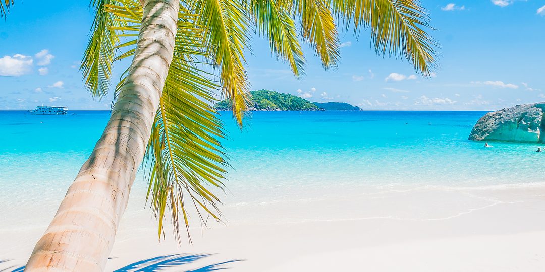 Palm tree leaning over a white sand beach and turquoise Caribbean water