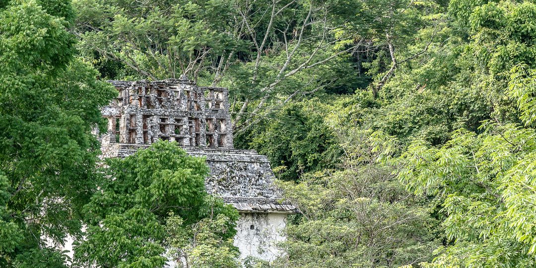 An ancient stone Maya temple rising above the rainforest canopy