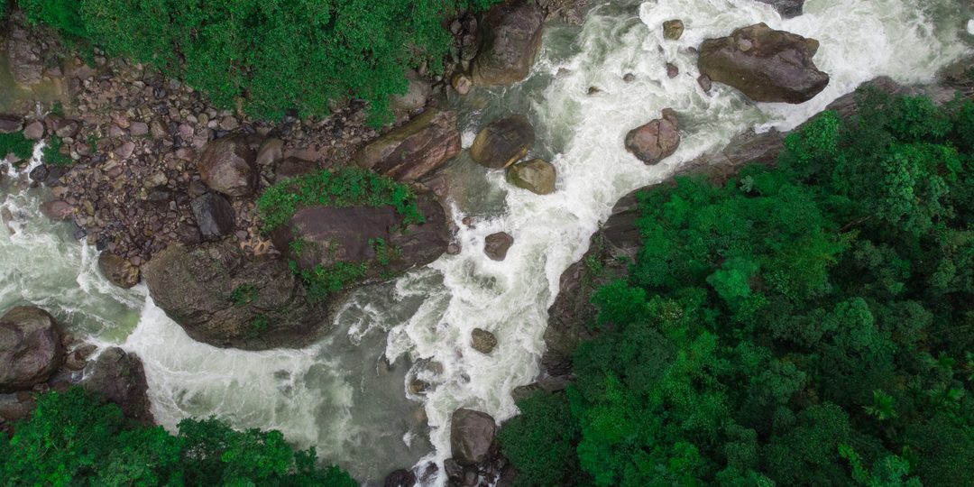 Aerial view of white-water rapids cutting through tropical forest