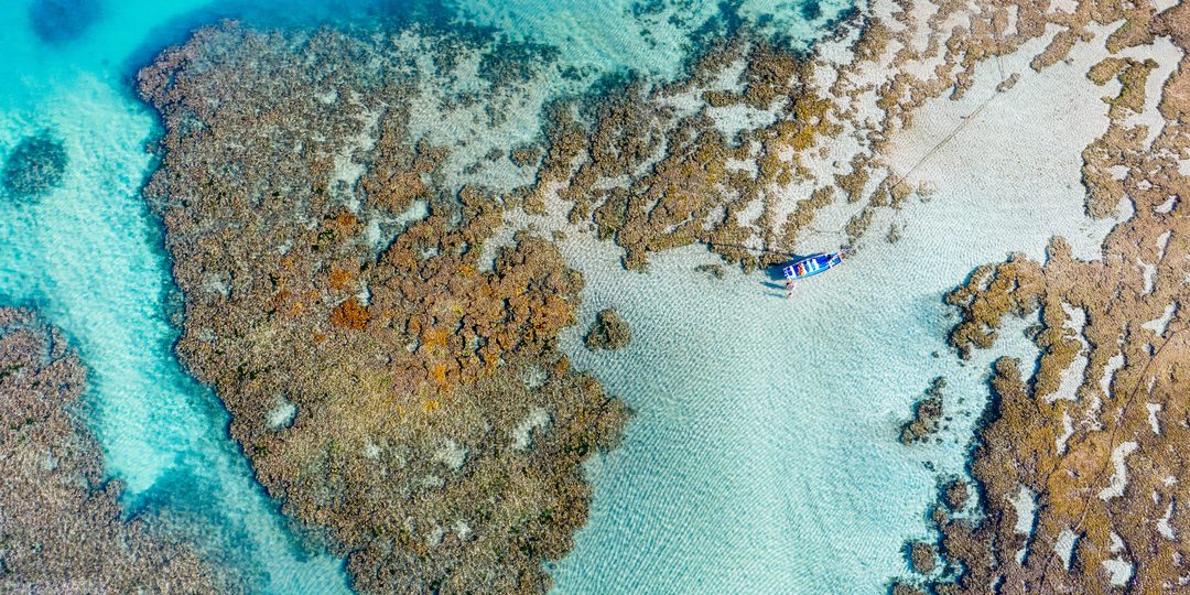 Aerial view of coral reef in clear shallow water